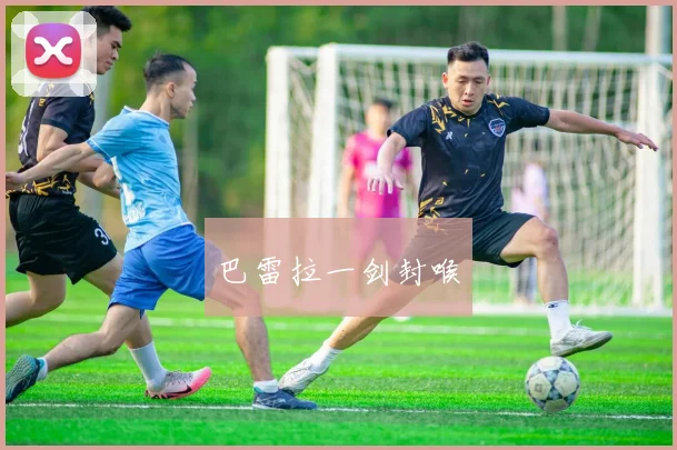巴雷拉一剑封喉