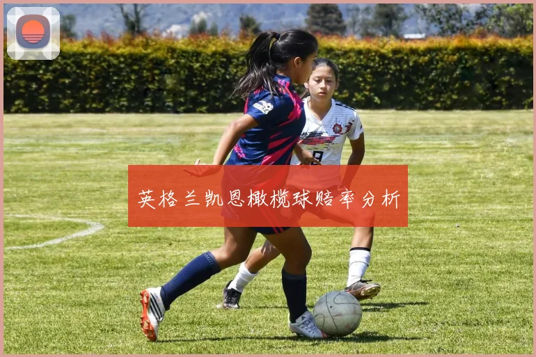 英格兰凯恩橄榄球赔率分析