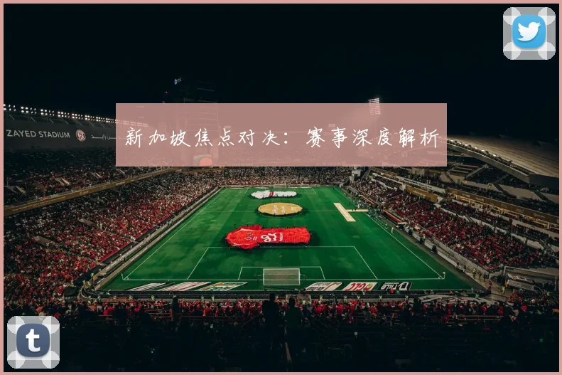 新加坡焦点对决:赛事深度解析