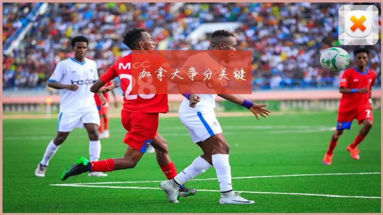 加拿大争分关键