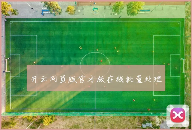 开云网页版官方版在线批量处理