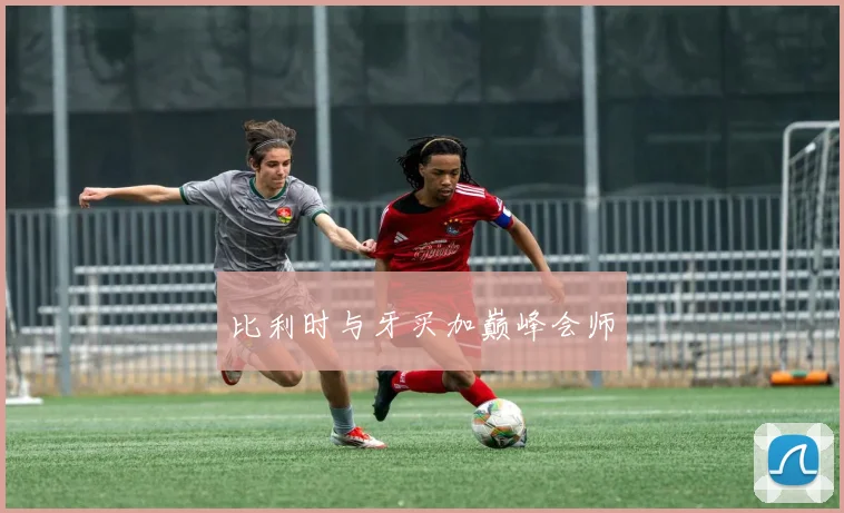 比利时与牙买加巅峰会师