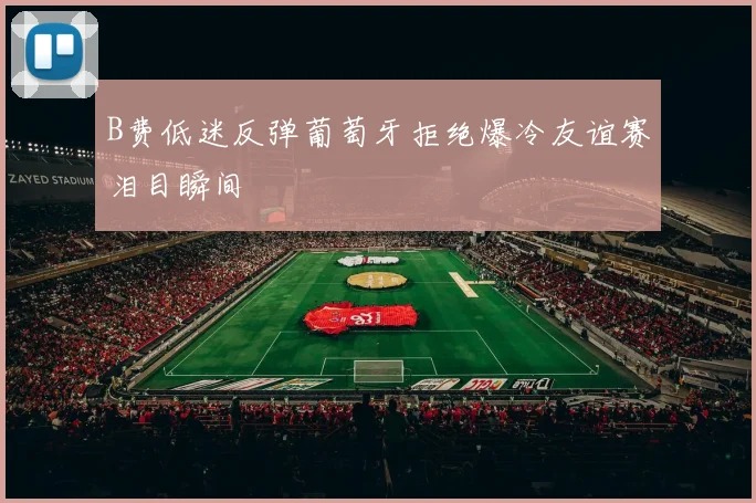 B费低迷反弹葡萄牙拒绝爆冷友谊赛泪目瞬间