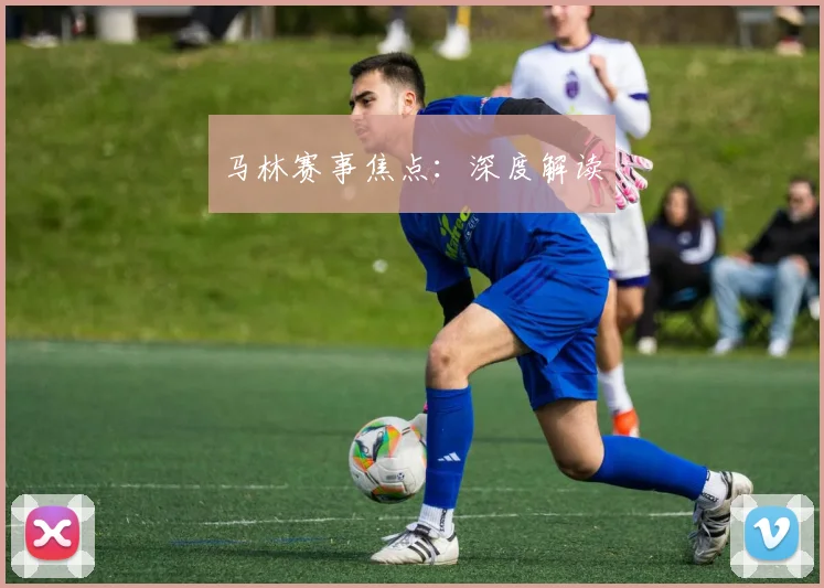 马林赛事焦点:深度解读