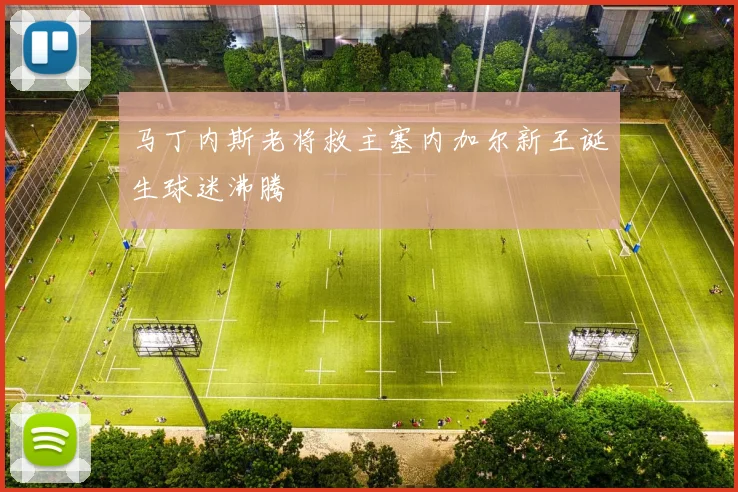 马丁内斯老将救主塞内加尔新王诞生球迷沸腾