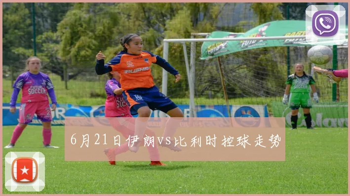6月21日伊朗vs比利时控球走势