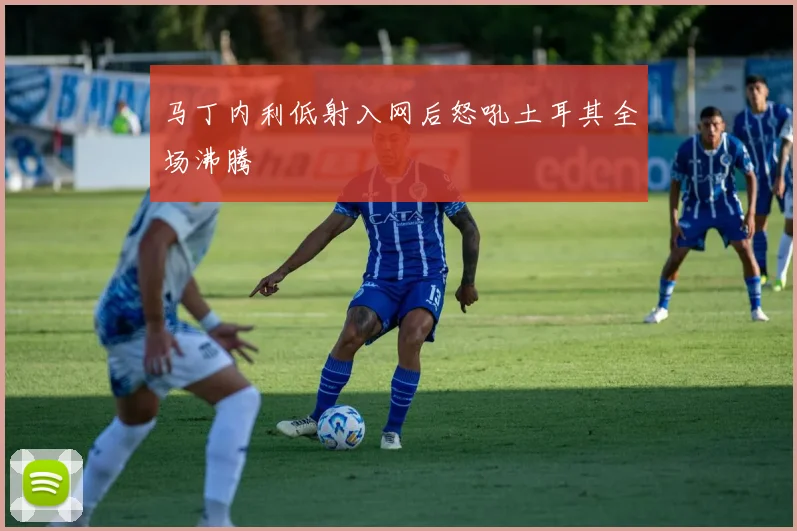 马丁内利低射入网后怒吼土耳其全场沸腾