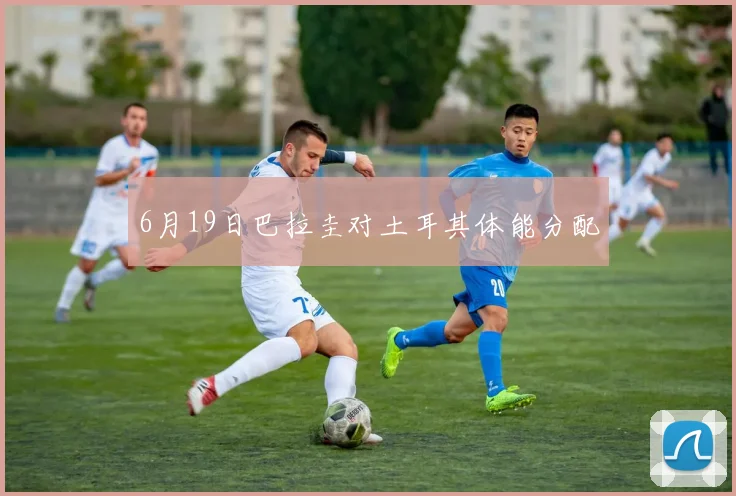 6月19日巴拉圭对土耳其体能分配