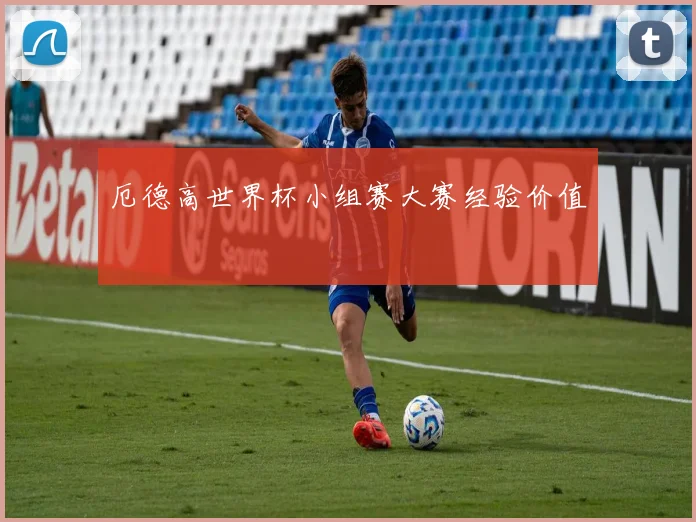 厄德高世界杯小组赛大赛经验价值