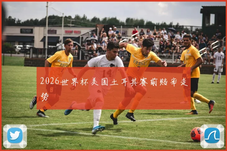 2026世界杯美国土耳其赛前赔率走势